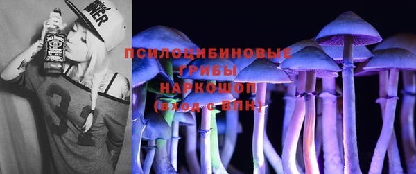 крисы Богородицк