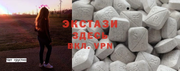 крисы Богородицк