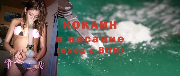 крисы Богородицк