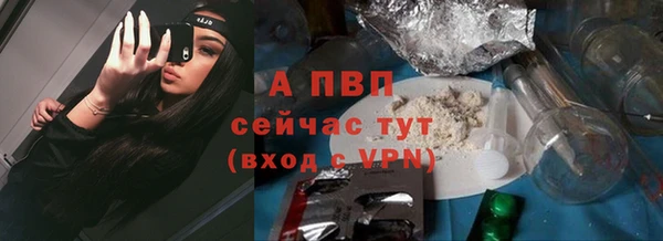 крисы Богородицк