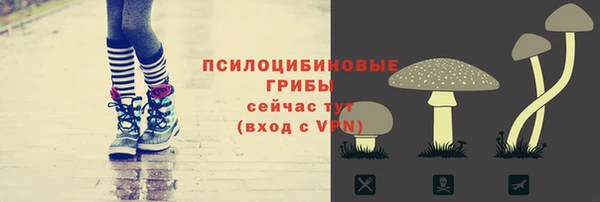 mdpv Богданович