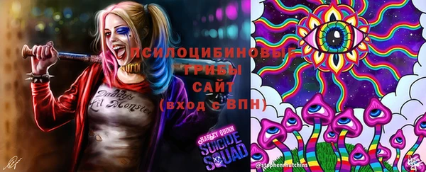 крисы Богородицк