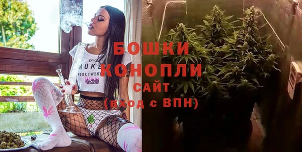 mdpv Богданович