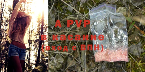 mdpv Богданович