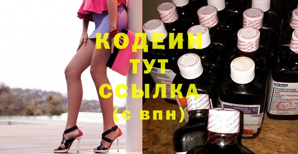 крисы Богородицк