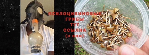 крисы Богородицк
