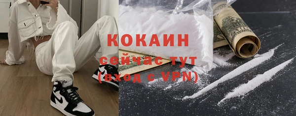 крисы Богородицк