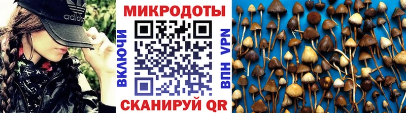 как найти закладки  Светлый  Псилоцибиновые грибы Cubensis 